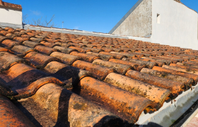 Nettoyage Toiture Façade 44